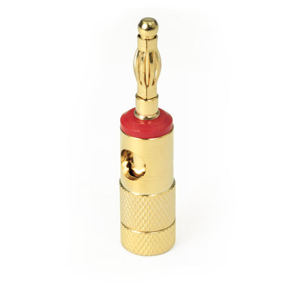Dynavox Banaanstekker male - Klemcilinder - Verguld - Rood
