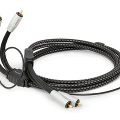 Collection image for: Pangea