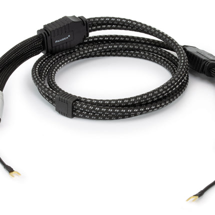 Pangea Premier XL Phono Kabel 1.25 meter