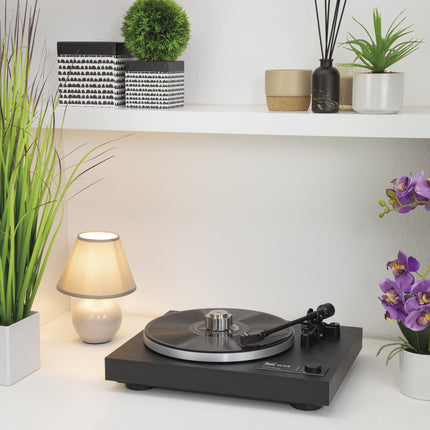 Dynavox platenklem PST450 rvs