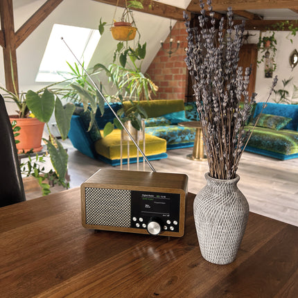 Dynavox DAB+ Radio DBT600 BT