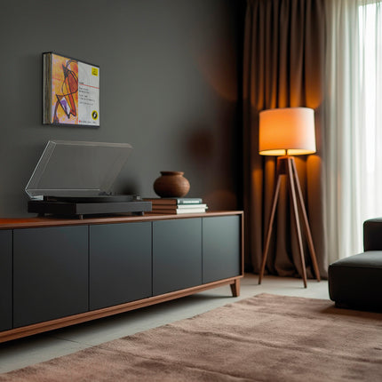 Dynavox Platenwand-houder LP20 metaal